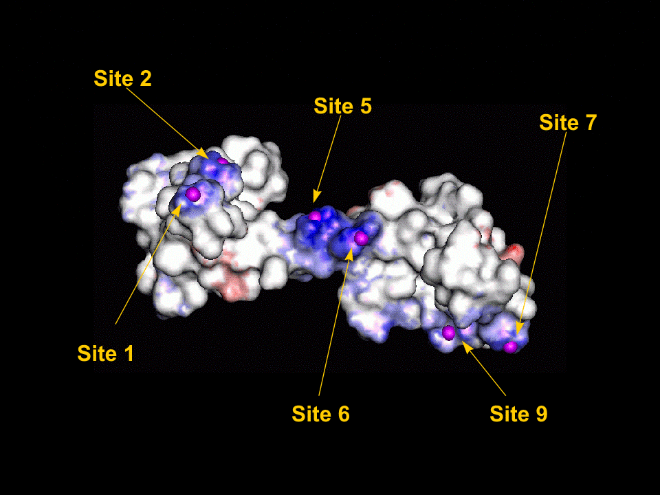 Site Map 1
