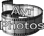 ayrily images reel