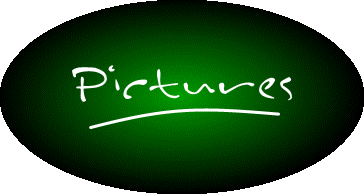 Piccies header